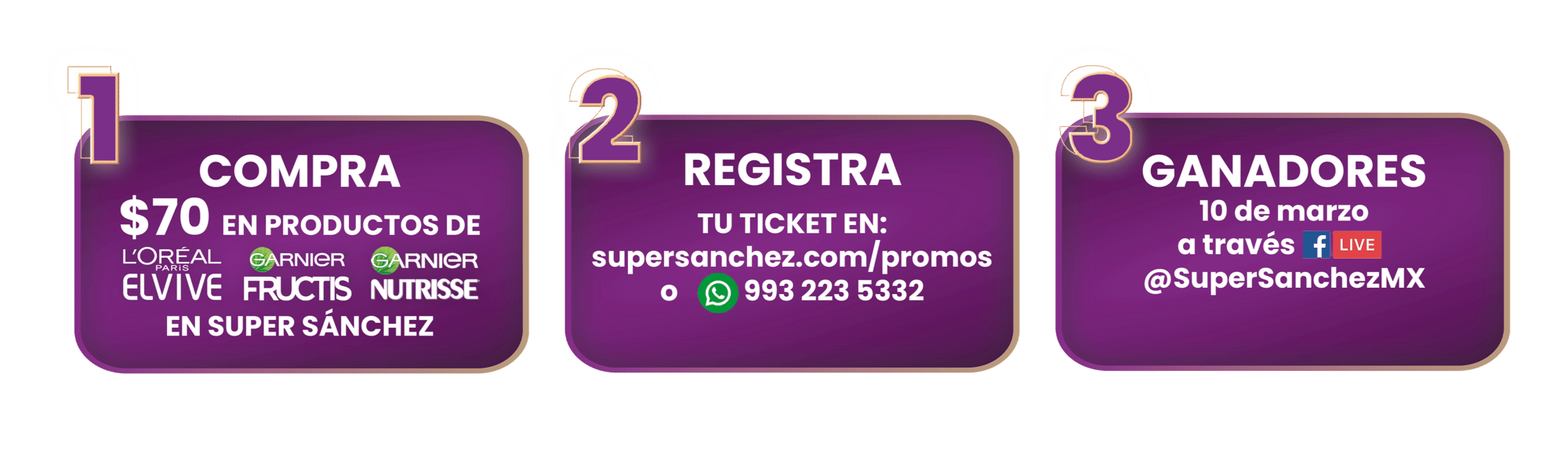 PASOS-Mar-03-2026-07-27-32-2783-PM-1