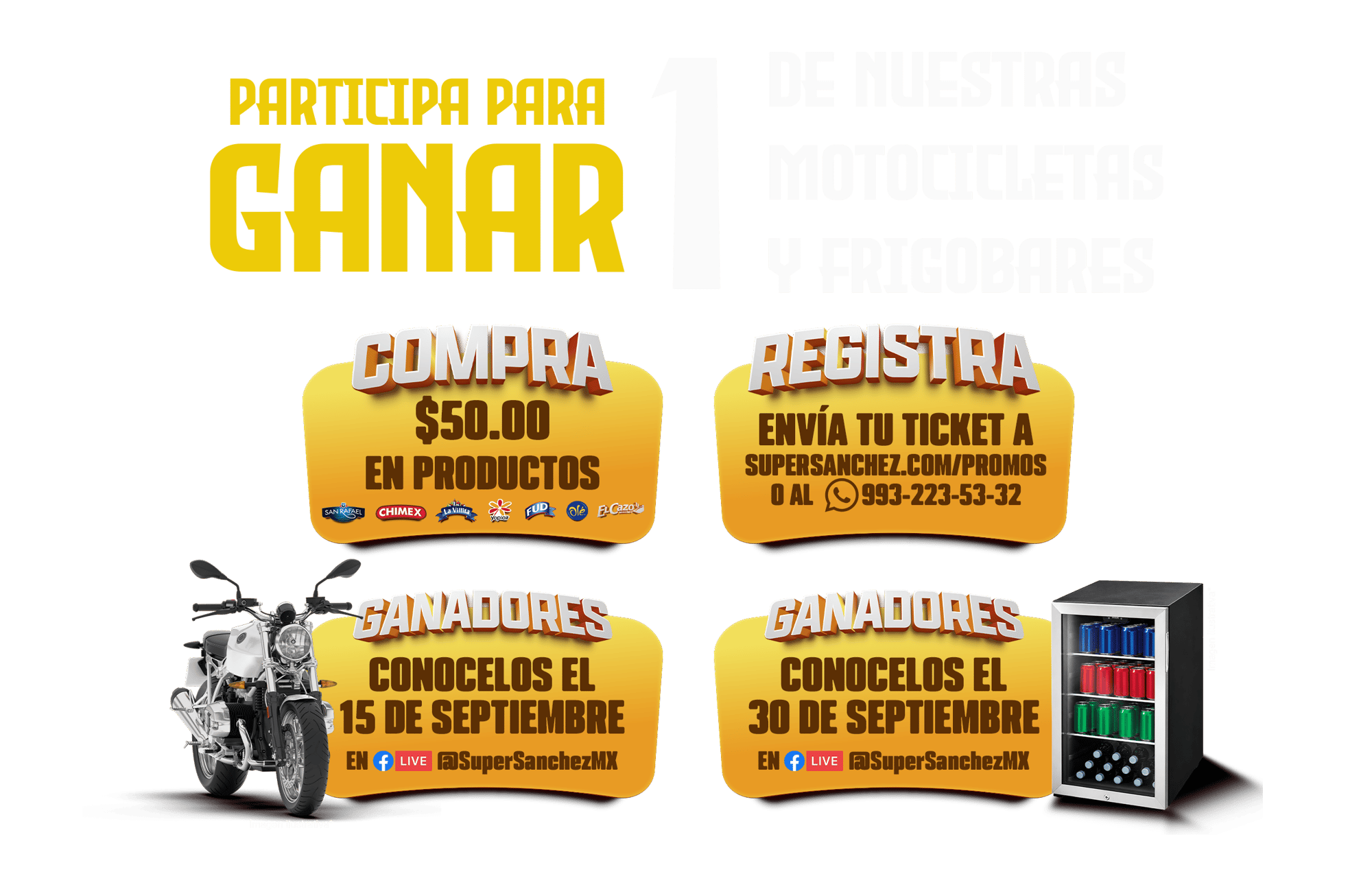 PASOS-Sep-02-2026-08-25-05-2345-PM
