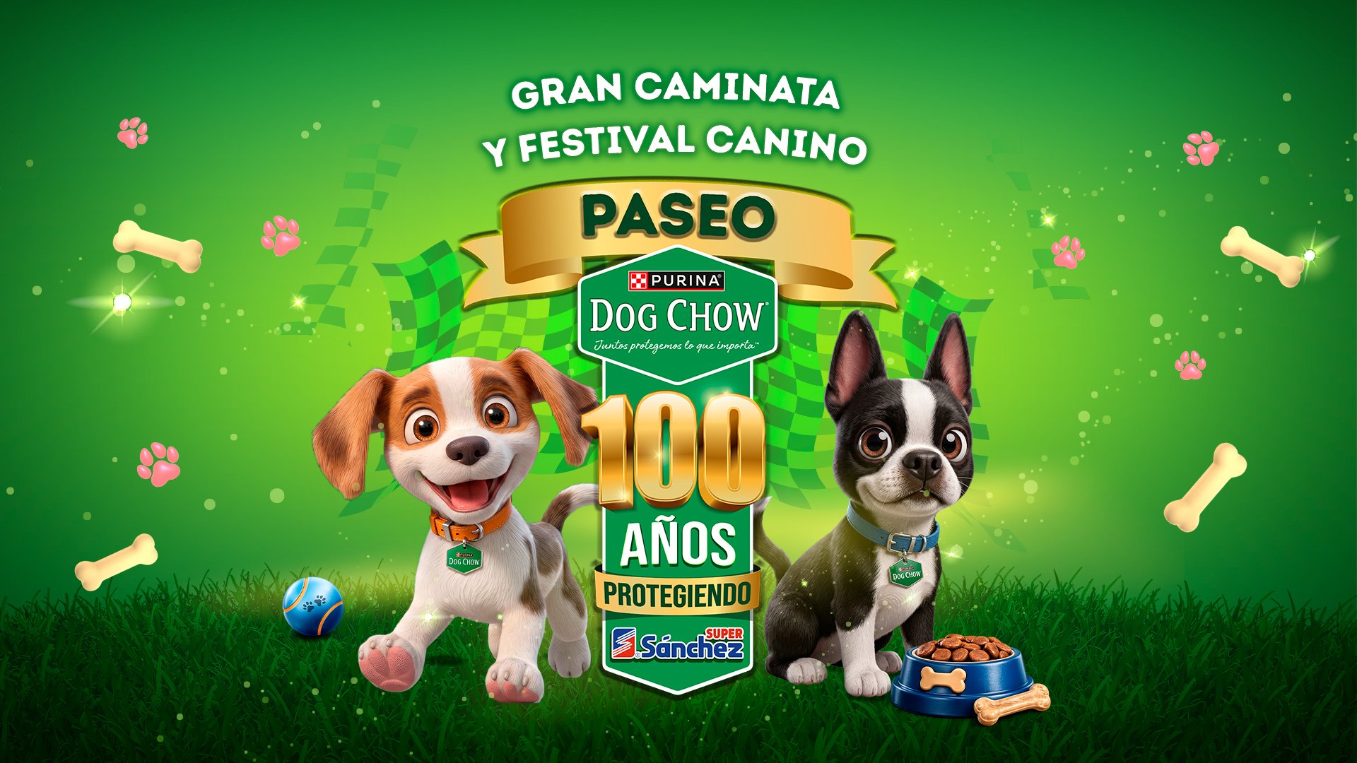 PRESENTACIÓN2
